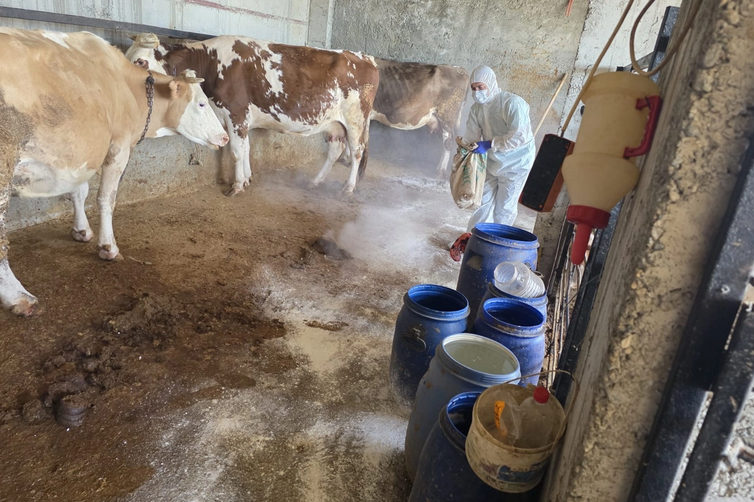 Adıyaman’da Zoonoz Hastalıklara Karşı Aşılama Devam Ediyor
