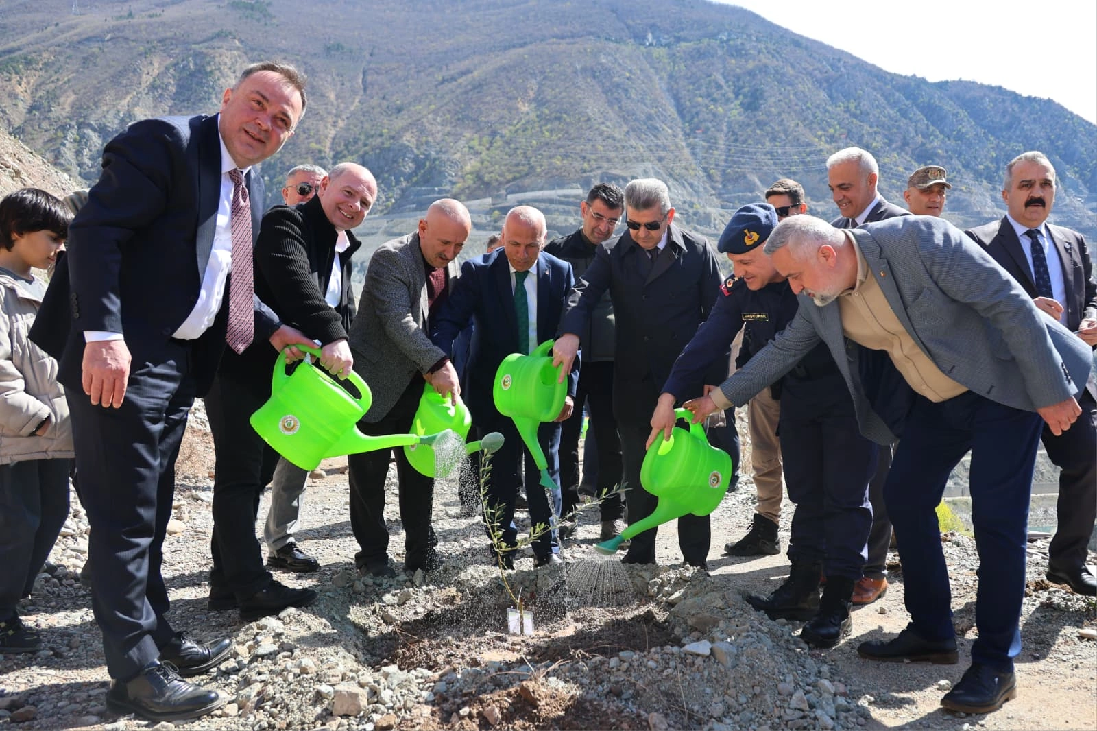 Artvin’de Butko Zeytini Üretimi Hızla Yaygınlaşıyor