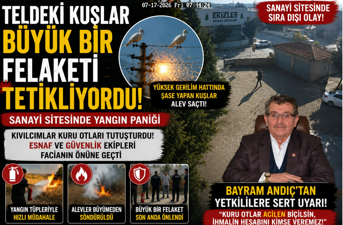 Sanayi Sitesinde Büyük Tehlike! Elektrik Tellerine Konan Kuşlar Yangın Çıkardı