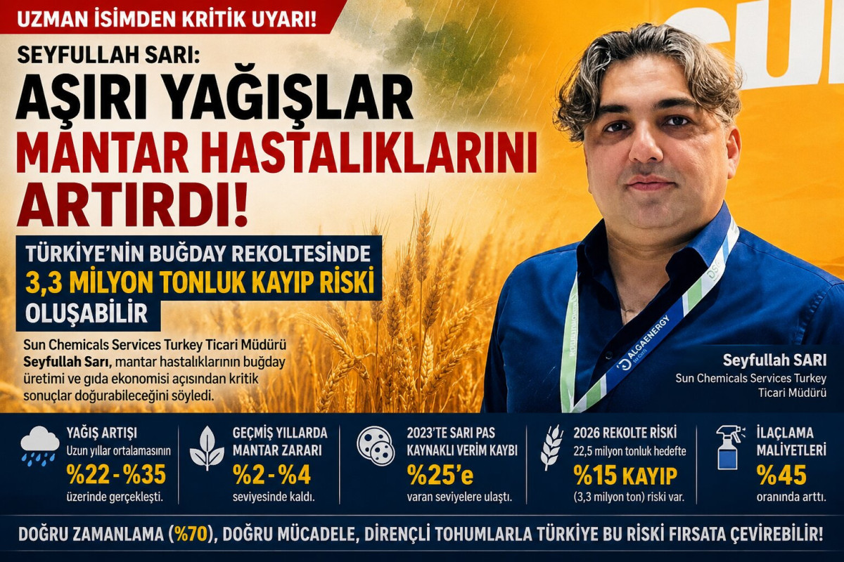 Seyfullah Sarı: Aşırı Yağışlar Mantar Hastalıklarını Artırdı, Türkiye'nin Buğday Rekoltesinde 3,3 Milyon Tonluk Kayıp Riski Oluşabilir